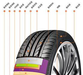 輪胎剖面圖